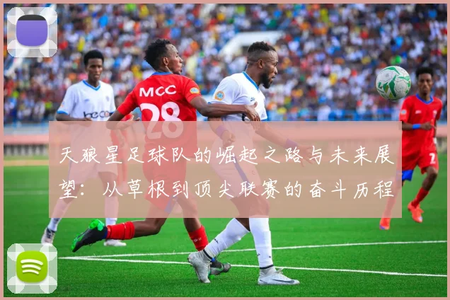 天狼星足球队的崛起之路与未来展望：从草根到顶尖联赛的奋斗历程