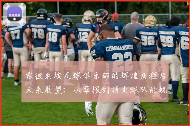 蒙彼利埃足球俱乐部的辉煌历程与未来展望：从草根到顶尖球队的蜕变之路