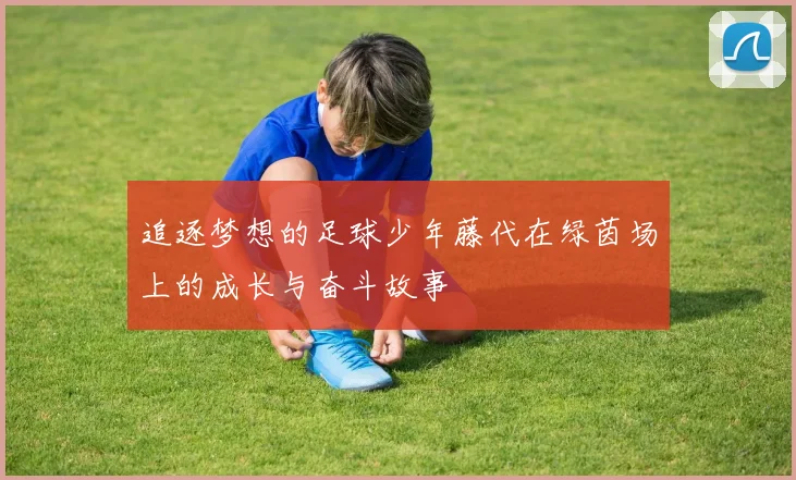 追逐梦想的足球少年藤代在绿茵场上的成长与奋斗故事