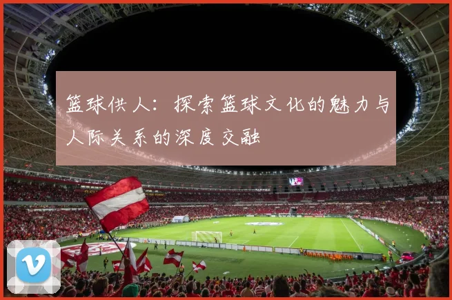 篮球供人：探索篮球文化的魅力与人际关系的深度交融