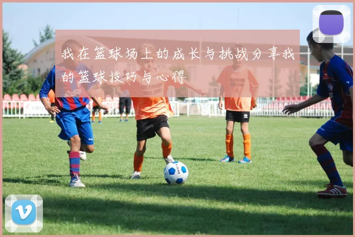 我在篮球场上的成长与挑战分享我的篮球技巧与心得